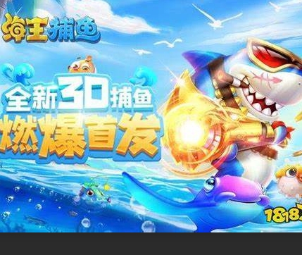 星力十代游戏平台下载注意事项